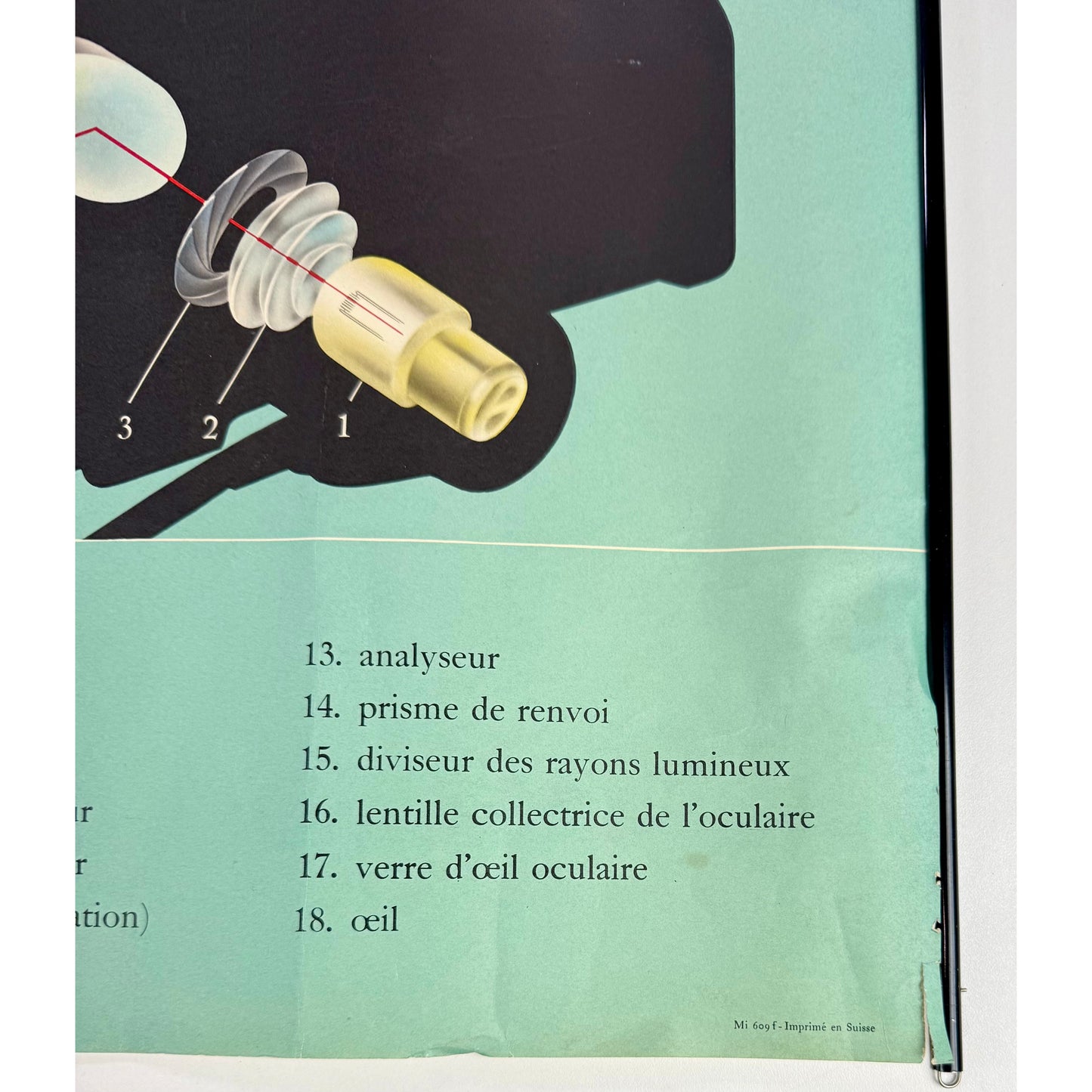 ORIGINAL POSTER – 1960s – WILD M20 RESEARCH MICROSCOPE (SCIENTIFIC WALL CHART)