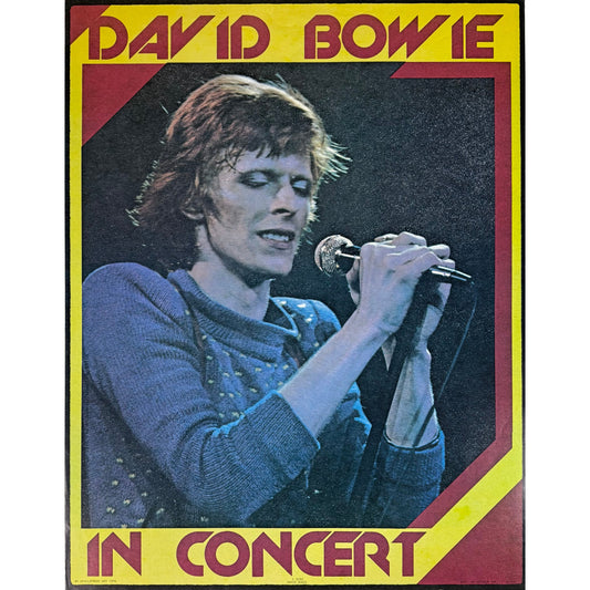 ORIGINAL POSTER - 1976 - DAVID BOWIE IN CONCERT