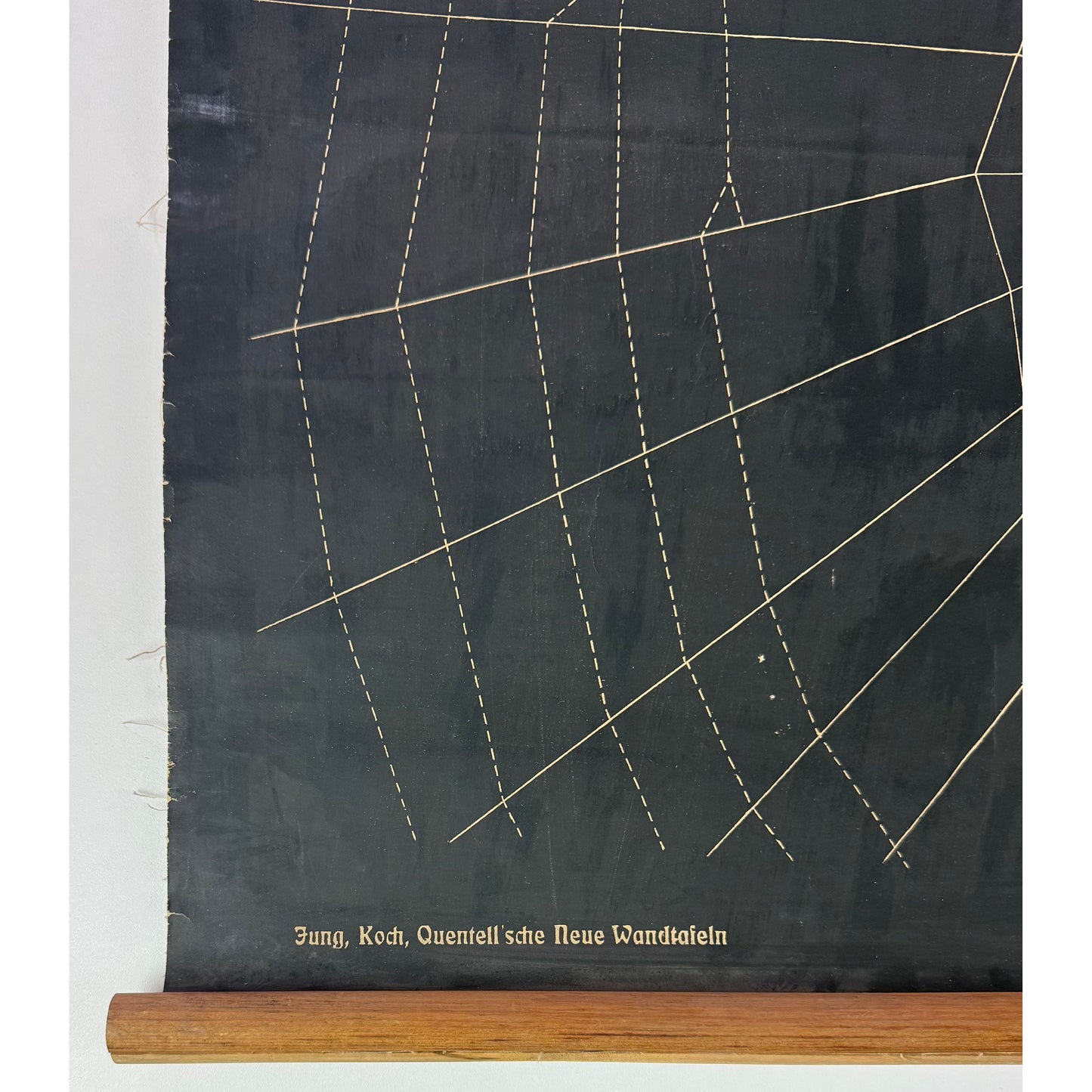 ORIGINAL POSTER – EARLY 20TH CENTURY – BIOLOGICAL SCHOOL CHART / SPIDER & WEB (Arachnida)