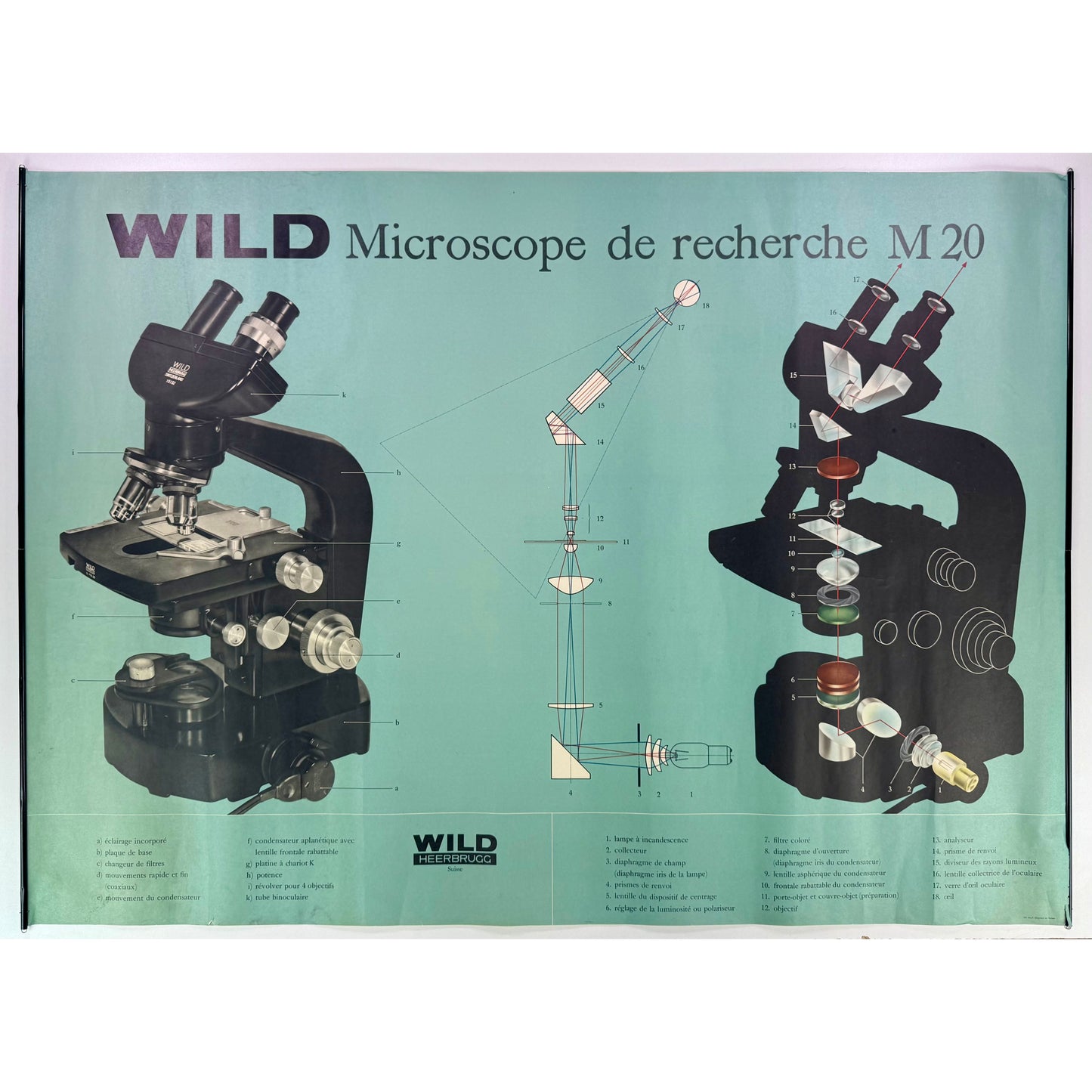 ORIGINAL POSTER – 1960s – WILD M20 RESEARCH MICROSCOPE (SCIENTIFIC WALL CHART)