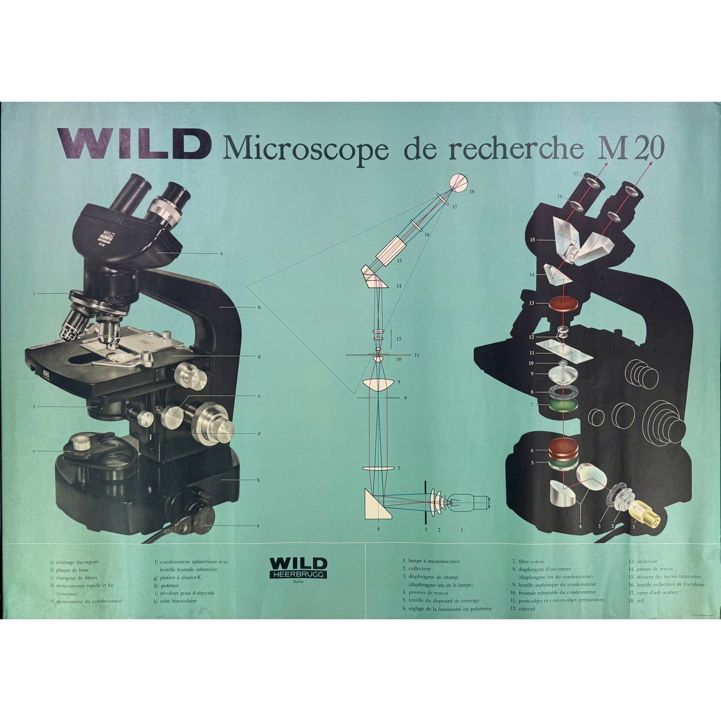 ORIGINAL POSTER – 1960s – WILD M20 RESEARCH MICROSCOPE (SCIENTIFIC WALL CHART)