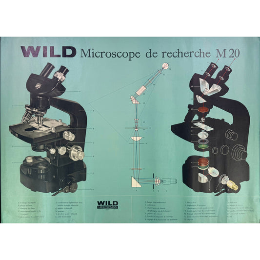 ORIGINAL POSTER – 1960s – WILD M20 RESEARCH MICROSCOPE (SCIENTIFIC WALL CHART)