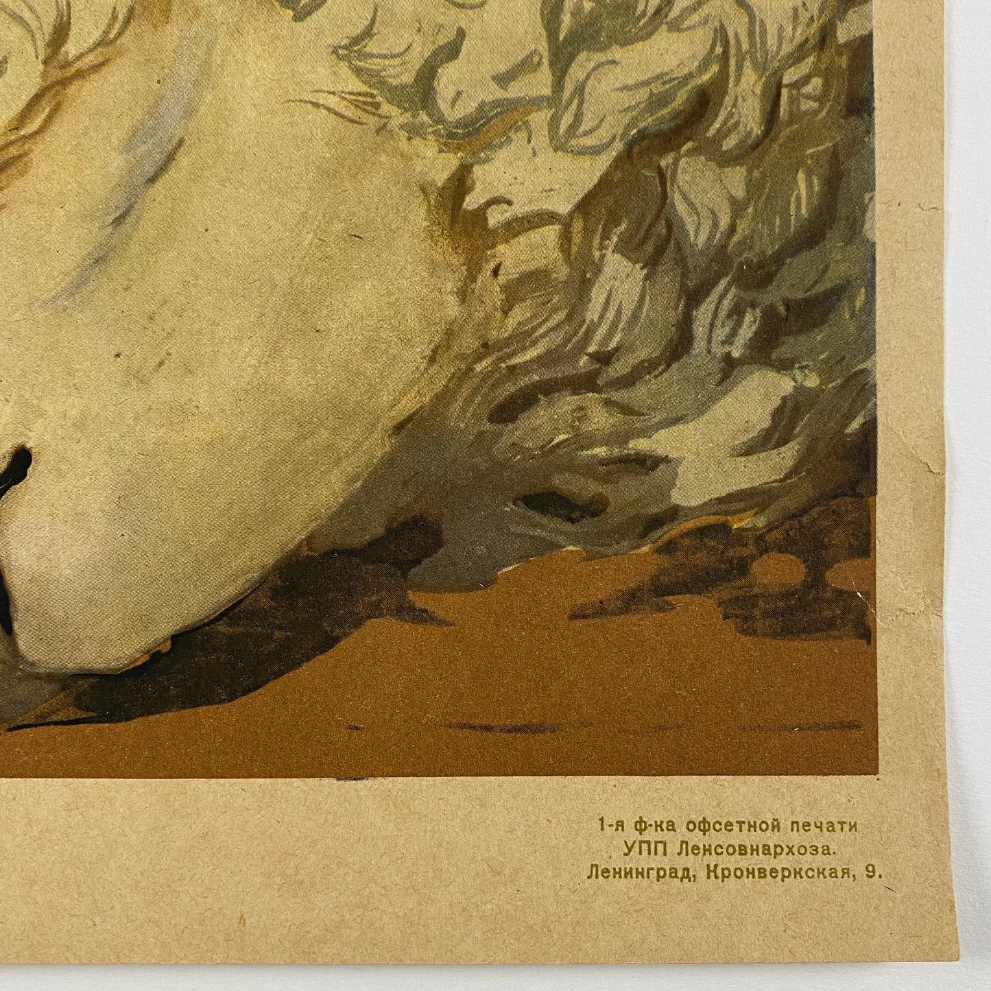ORIGINAL POSTER - 1959 - PROPAGANDA CCCP WOOL PRODUCTION
